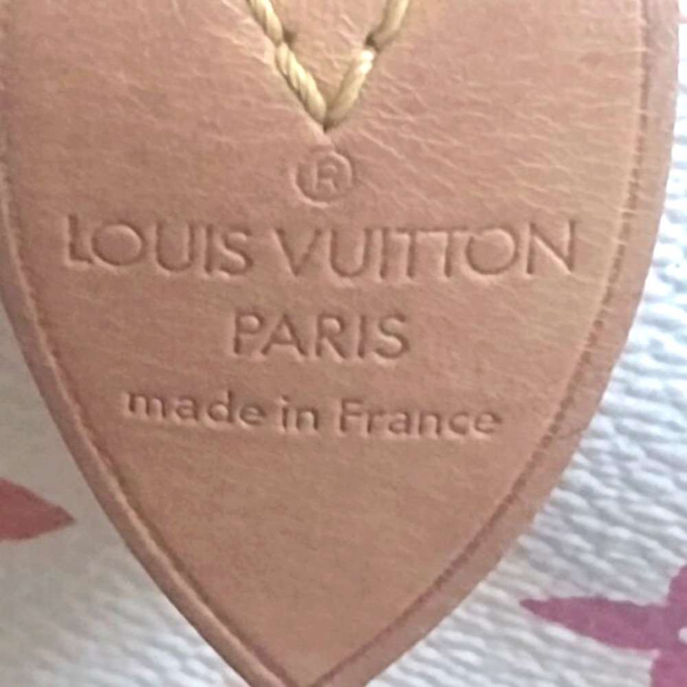Louis Vuitton MURAKAMI Stunning Speedy 30 ๐๐๐๐๐งกโฅ๏ธ - Picture 13 of 15